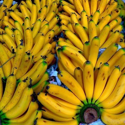 Почему стоит полакомиться бананом?