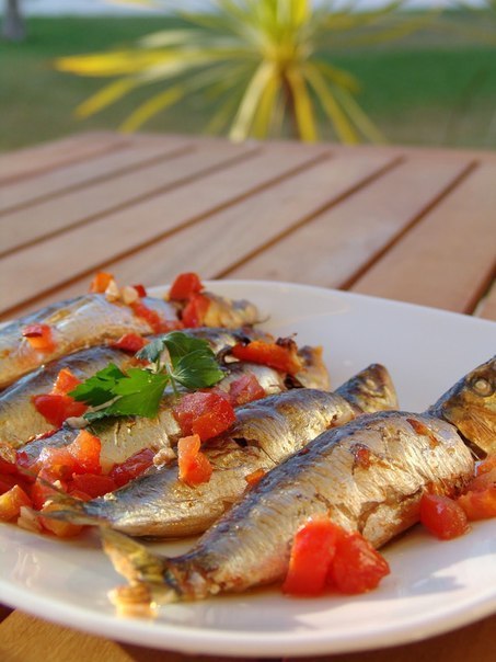 Сардины по-португальски в духовке ( sardinha ao forno)
