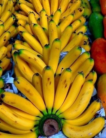 10 новых фактов о бананах! 